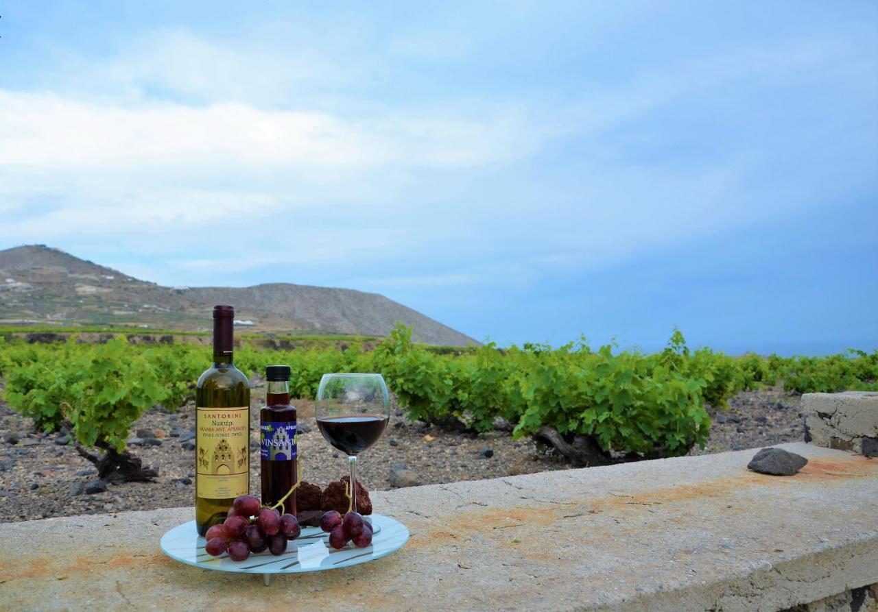 Vineyards Hill Villa เมกาโลคอรี ภายนอก รูปภาพ